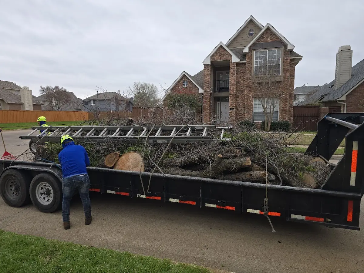Expert Tree Fertilization with proper safety equipment in Newman